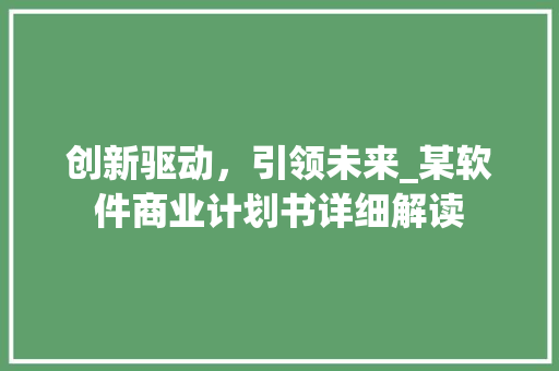 创新驱动，引领未来_某软件商业计划书详细解读