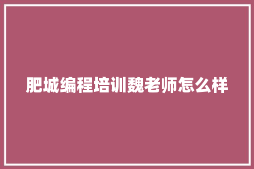 肥城编程培训魏老师怎么样