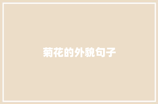 菊花的外貌句子