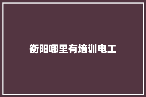 衡阳哪里有培训电工