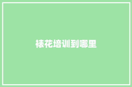 裱花培训到哪里