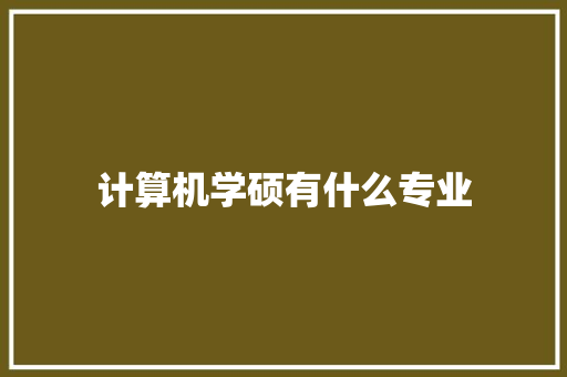 计算机学硕有什么专业