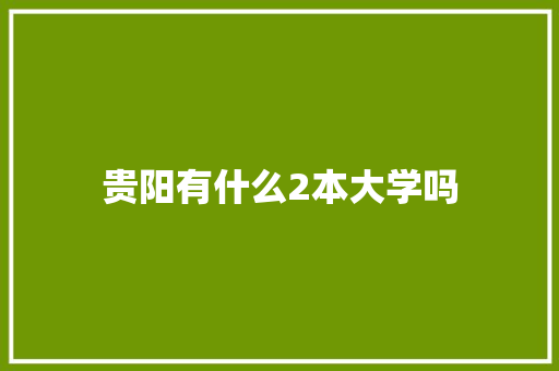 贵阳有什么2本大学吗