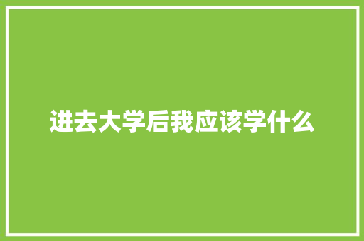 进去大学后我应该学什么