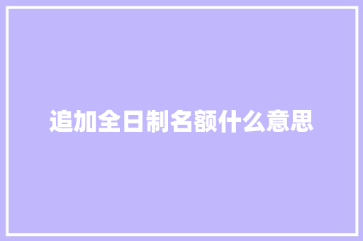 追加全日制名额什么意思