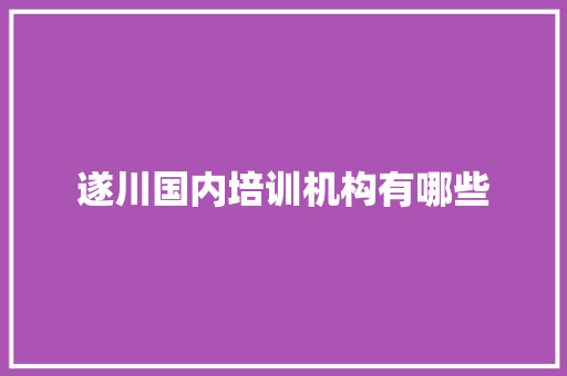 遂川国内培训机构有哪些