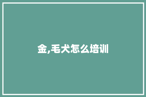 金,毛犬怎么培训