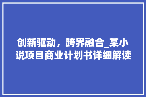 创新驱动，跨界融合_某小说项目商业计划书详细解读