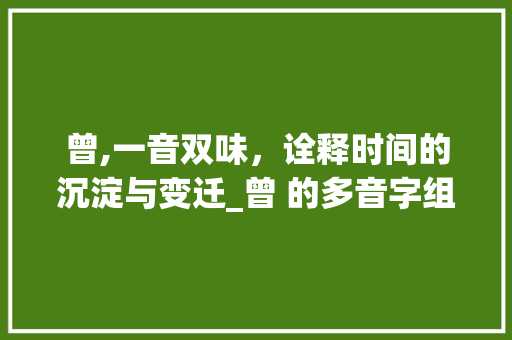 曾,一音双味，诠释时间的沉淀与变迁_曾 的多音字组词