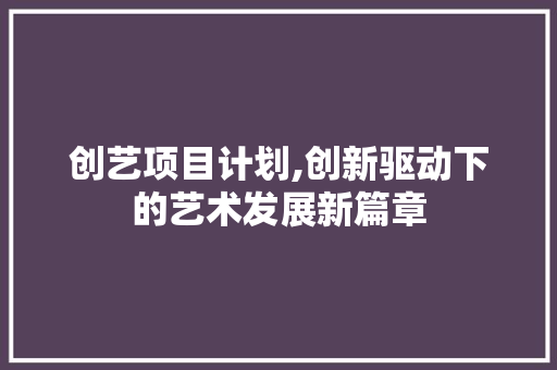创艺项目计划,创新驱动下的艺术发展新篇章
