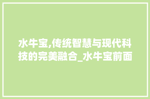 水牛宝,传统智慧与现代科技的完美融合_水牛宝前面加字组词