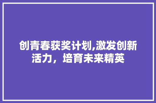创青春获奖计划,激发创新活力，培育未来精英