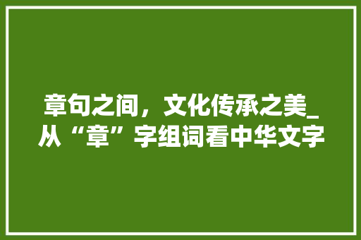 章句之间，文化传承之美_从“章”字组词看中华文字的魅力_关键字章字组词