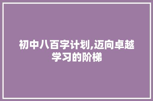 初中八百字计划,迈向卓越学习的阶梯