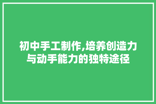 初中手工制作,培养创造力与动手能力的独特途径