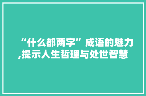 “什么都两字”成语的魅力,提示人生哲理与处世智慧