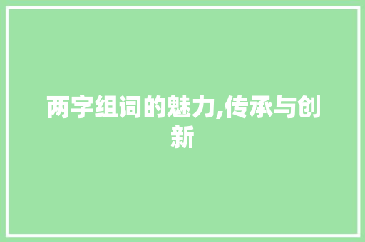两字组词的魅力,传承与创新