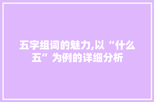 五字组词的魅力,以“什么五”为例的详细分析