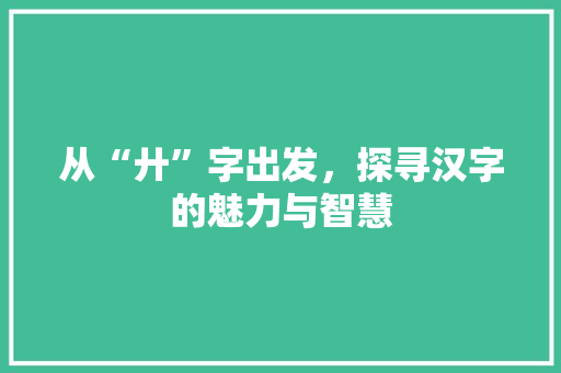 从“廾”字出发，探寻汉字的魅力与智慧