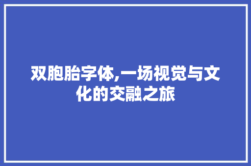 双胞胎字体,一场视觉与文化的交融之旅
