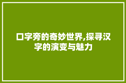 口字旁的奇妙世界,探寻汉字的演变与魅力
