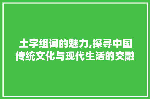 土字组词的魅力,探寻中国传统文化与现代生活的交融