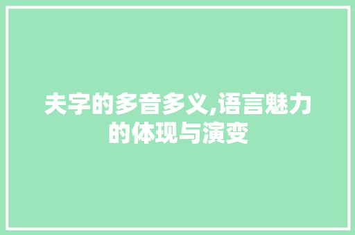 夫字的多音多义,语言魅力的体现与演变