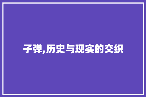 子弹,历史与现实的交织