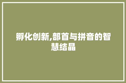 孵化创新,部首与拼音的智慧结晶
