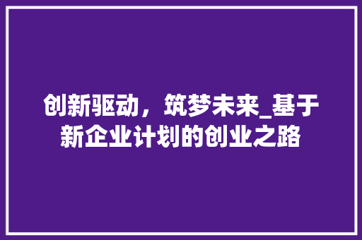 创新驱动，筑梦未来_基于新企业计划的创业之路