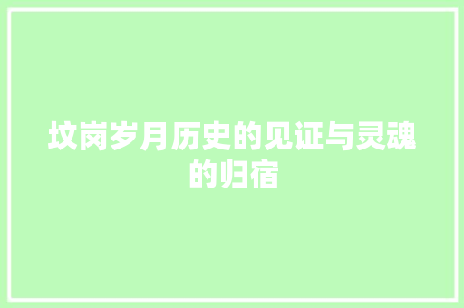 坟岗岁月历史的见证与灵魂的归宿