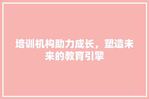 培训机构助力成长，塑造未来的教育引擎