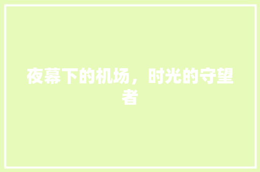 夜幕下的机场，时光的守望者
