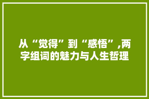 从“觉得”到“感悟”,两字组词的魅力与人生哲理