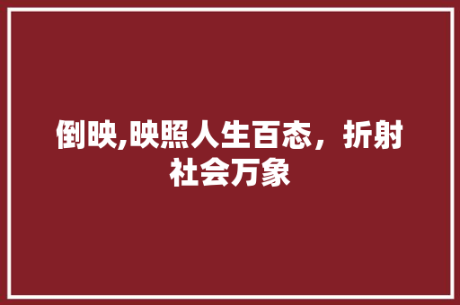 倒映,映照人生百态，折射社会万象