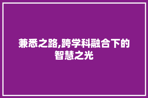 兼悉之路,跨学科融合下的智慧之光
