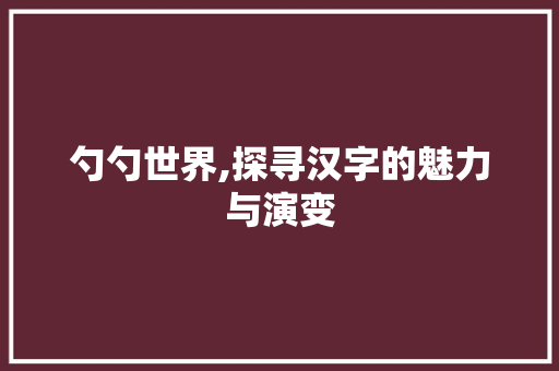 勺勺世界,探寻汉字的魅力与演变