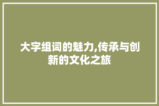 大字组词的魅力,传承与创新的文化之旅