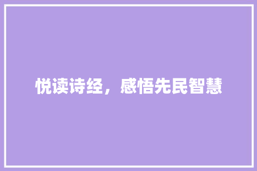 悦读诗经，感悟先民智慧