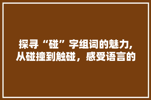 探寻“碰”字组词的魅力,从碰撞到触碰，感受语言的丰富内涵