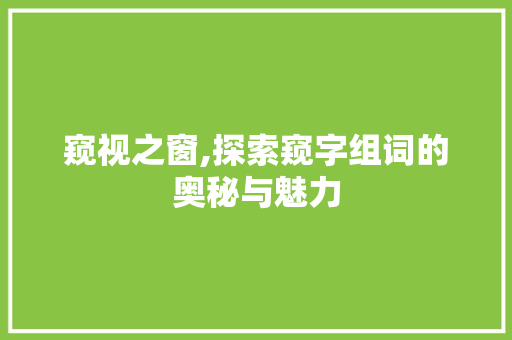 窥视之窗,探索窥字组词的奥秘与魅力