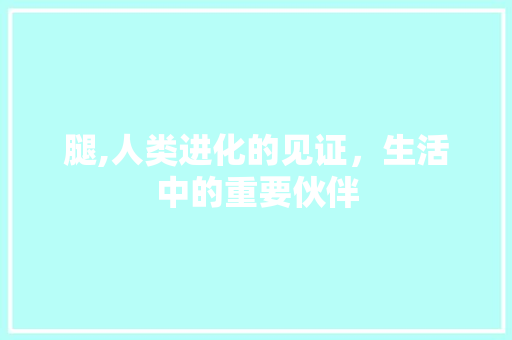 腿,人类进化的见证，生活中的重要伙伴
