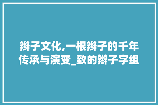 辫子文化,一根辫子的千年传承与演变_致的辫子字组词