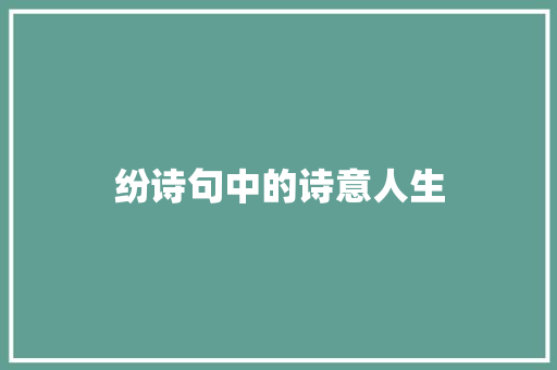 纷诗句中的诗意人生