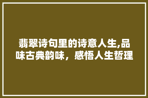 翡翠诗句里的诗意人生,品味古典韵味，感悟人生哲理