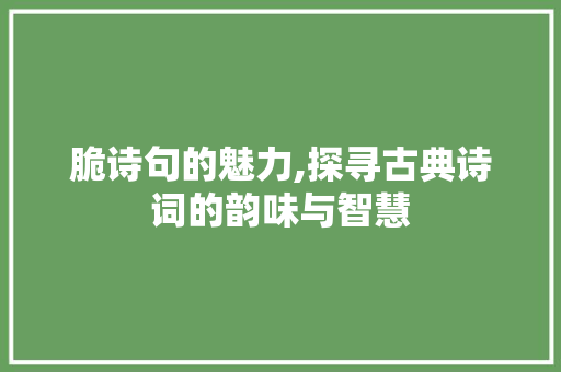 脆诗句的魅力,探寻古典诗词的韵味与智慧