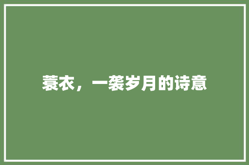 蓑衣，一袭岁月的诗意