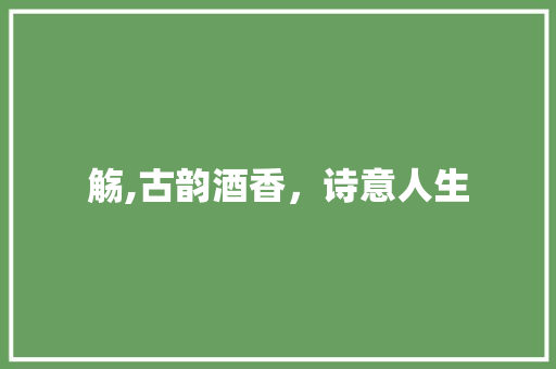 觞,古韵酒香，诗意人生