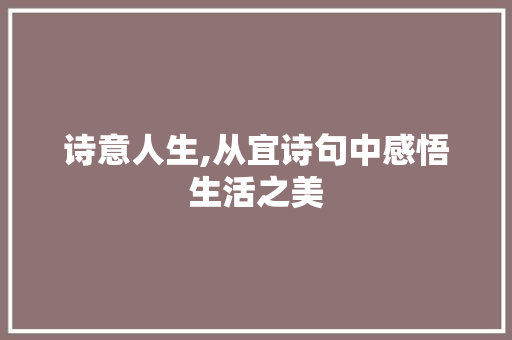 诗意人生,从宜诗句中感悟生活之美