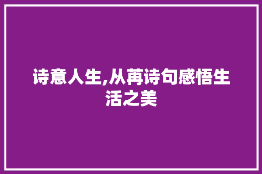 诗意人生,从苒诗句感悟生活之美